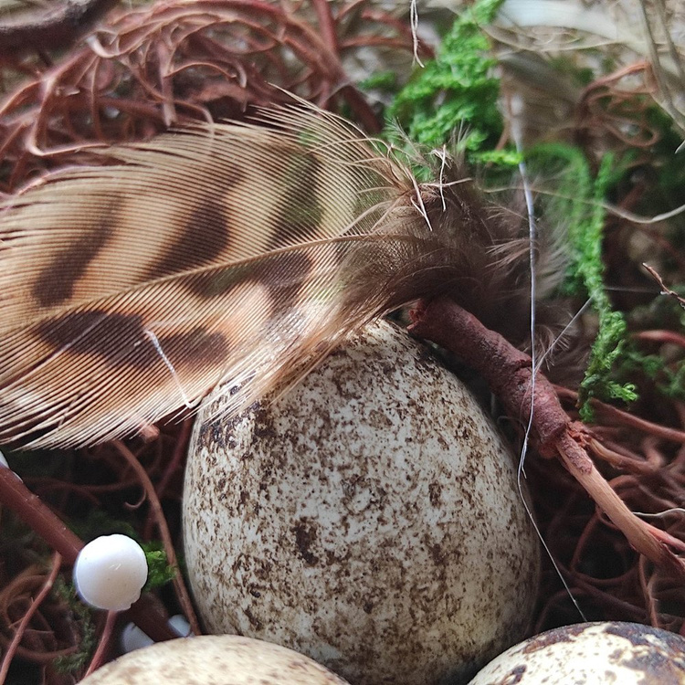 Wielkanocne ozdoby Gniazdo Natura z jajami przepiórczymi 