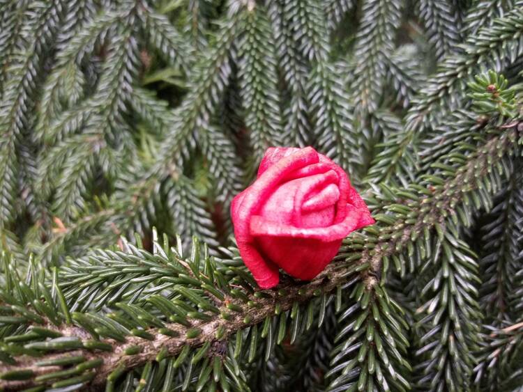 Kwiaty na choinkę Kwiaty na stroik, wianek, potpourri 60 szt op- czerwone